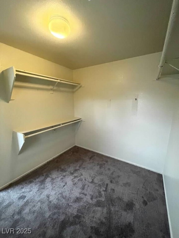 Building Photo - 3237 W Perching Bird Ln