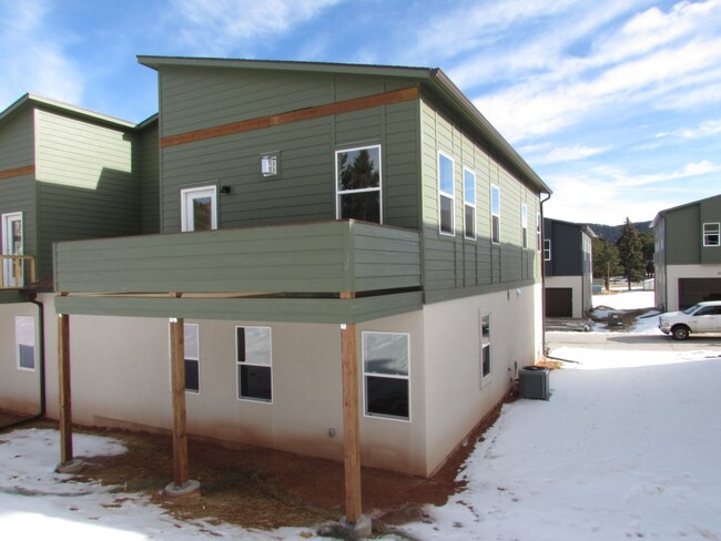 Building Photo - Brand New Woodland Park Townhome!