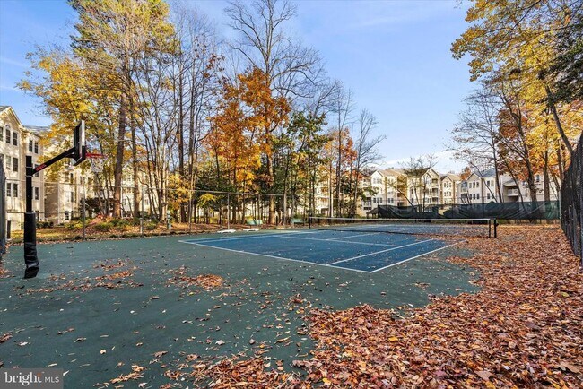 Building Photo - 12221 Fairfield House Dr