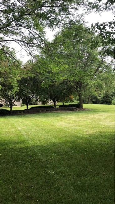 Primary Photo - Southern Manor Apartments