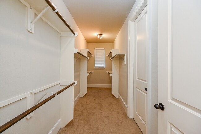 Building Photo - 30154 Southern Sky Dr