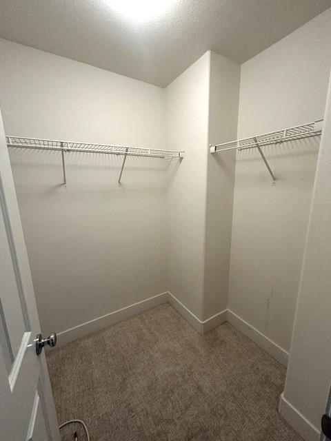 Building Photo - 1043 Saltbush Ln