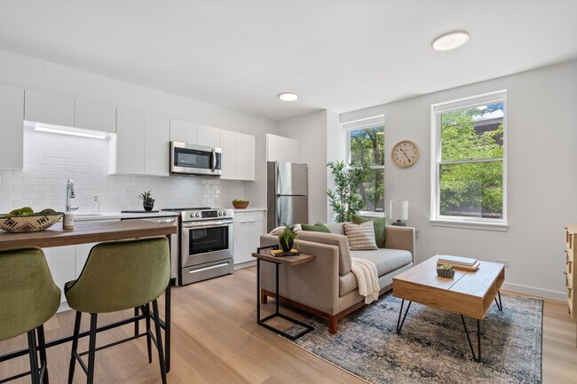 Brand new 1-bedroom apartment with in-unit laundry - 1652 W Roscoe St