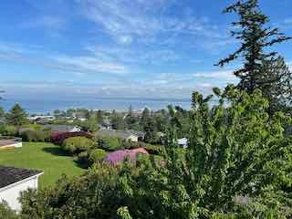 view from your private balcony - 217 Middlefield Rd