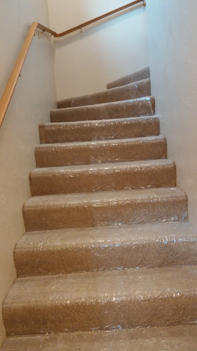 carpeted stairs lead up to main living area - 200 S Maple Ave