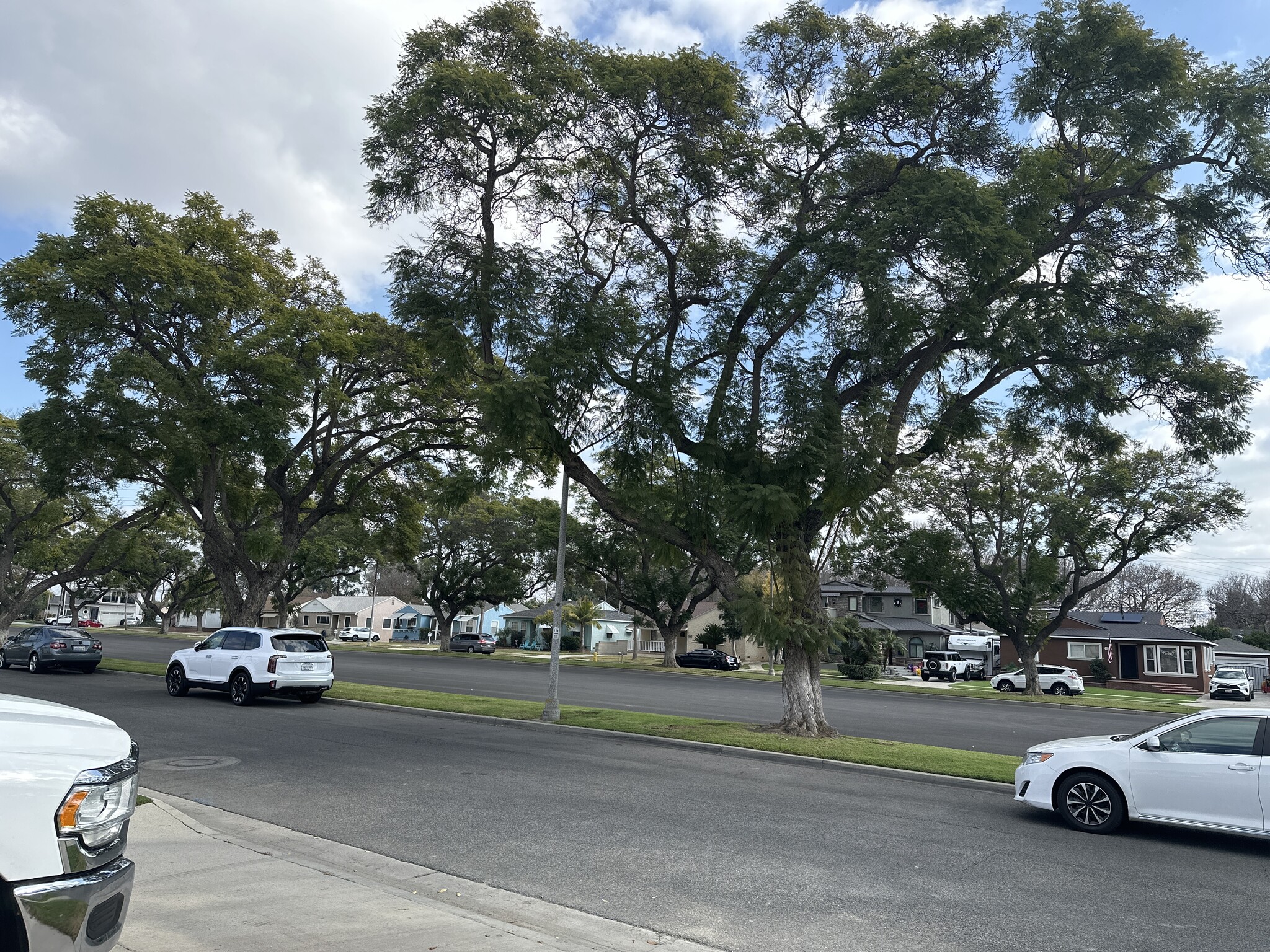 View from the house. There is plenty of parking and little traffic because it's a dead end street. - 4223 Los Coyotes Diagonal