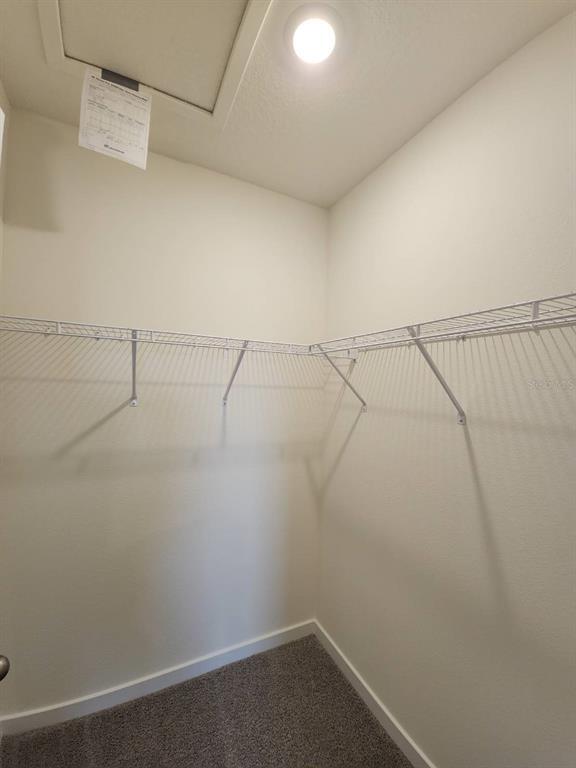 Building Photo - 3371 Chroma St