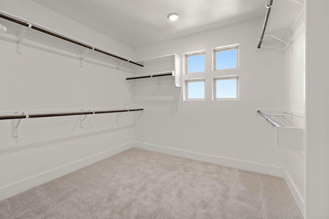 Building Photo - 3605 Talladega Trce