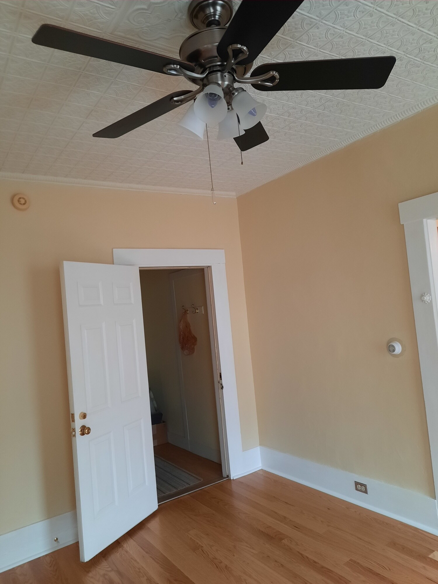 living room - 31B Kinsley St