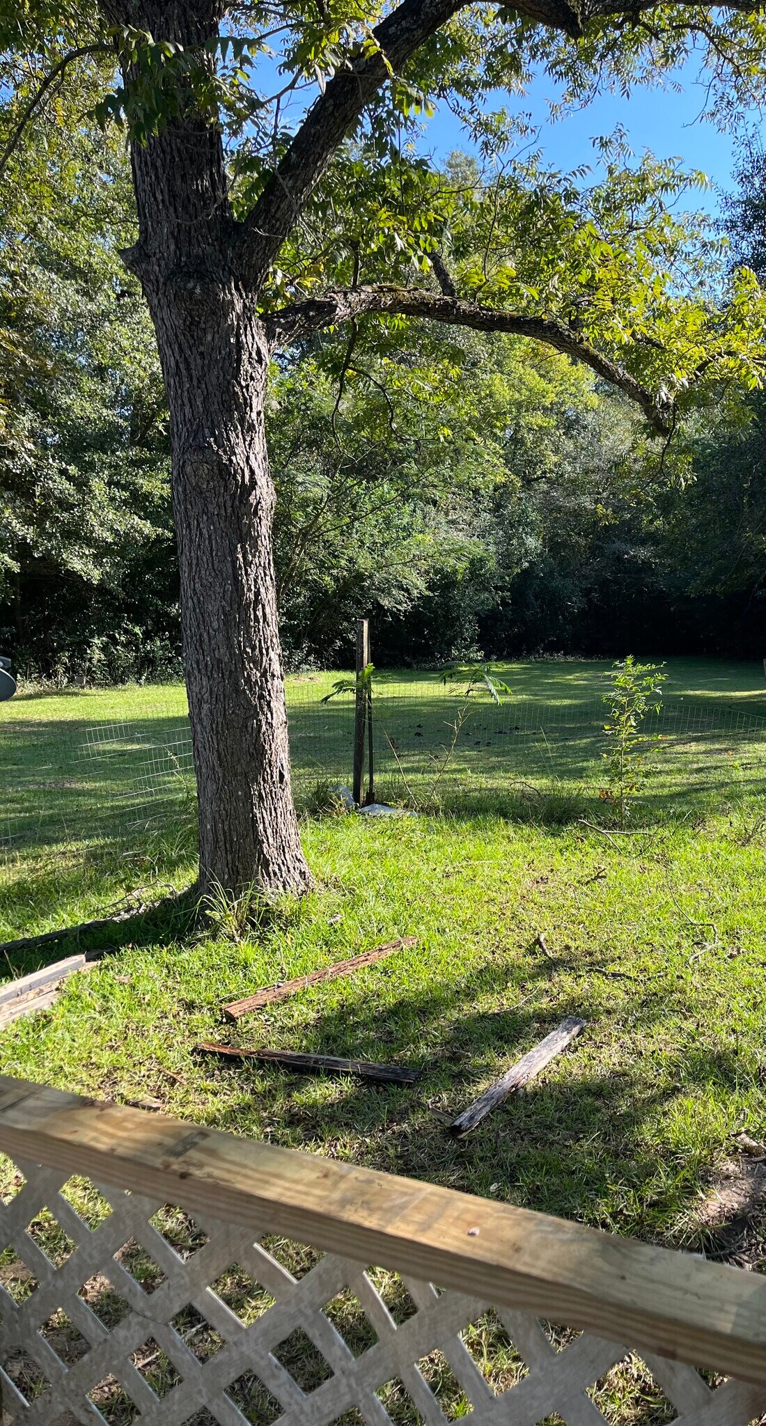 Building Photo - 3917 Bloomfield Dr