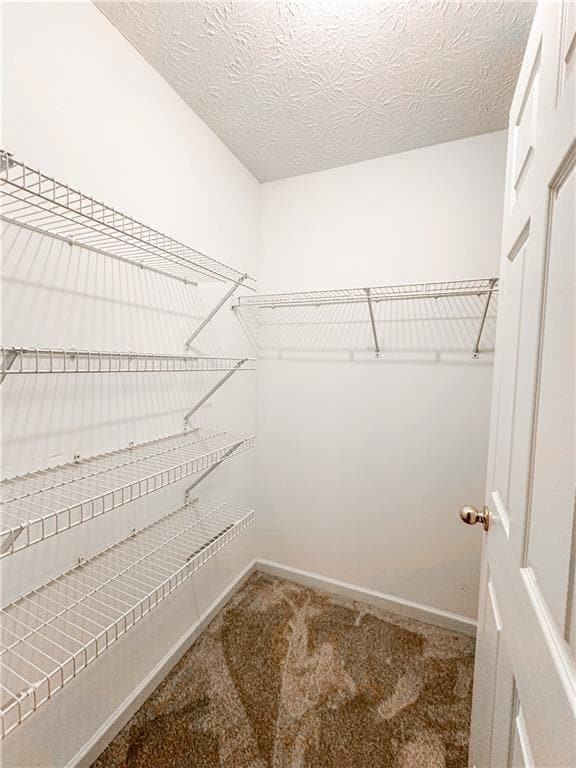 Building Photo - 3955 Hidden Hollow Dr