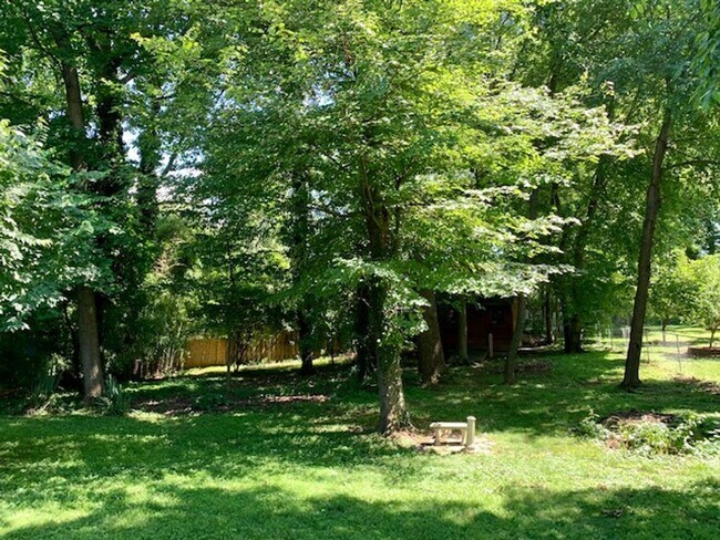 Building Photo - Light filled 2 BR plus 2 rooms, 2 FB including one in finished basement. Great location
