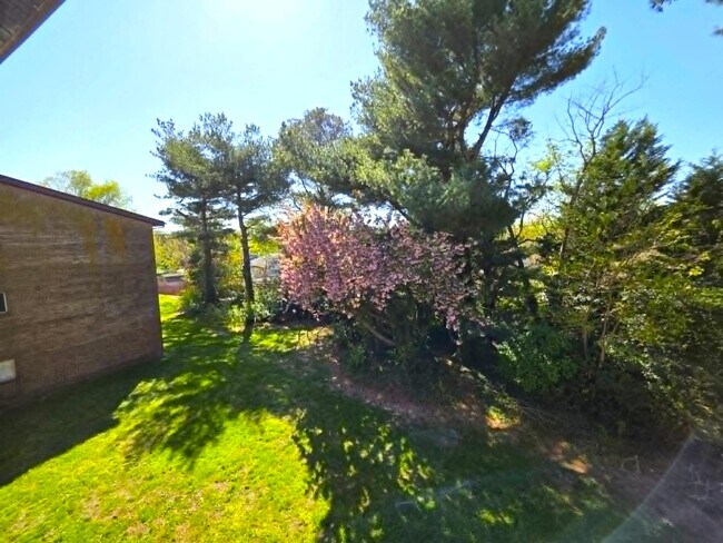 Building Photo - 1010 Adams Ave