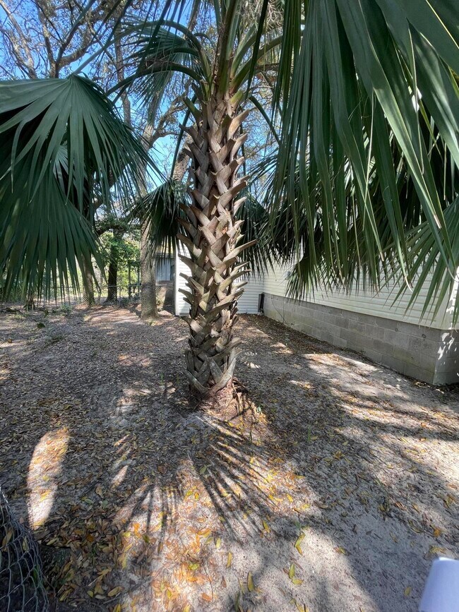 Building Photo - 133 3rd St