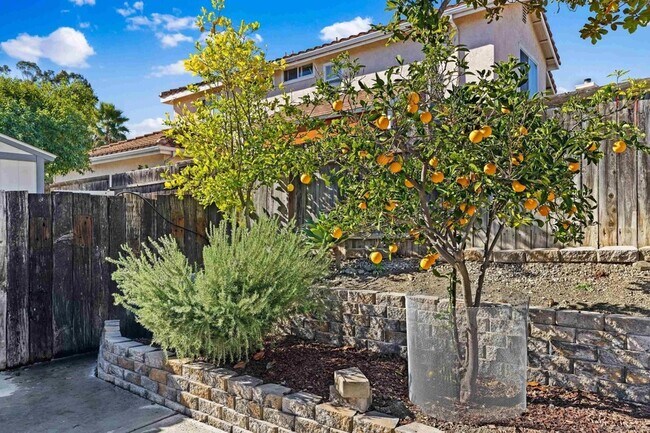 Building Photo - 286 Glendale Ave