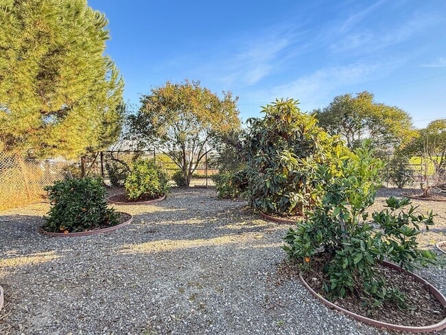 Building Photo - 2800 Roop Rd