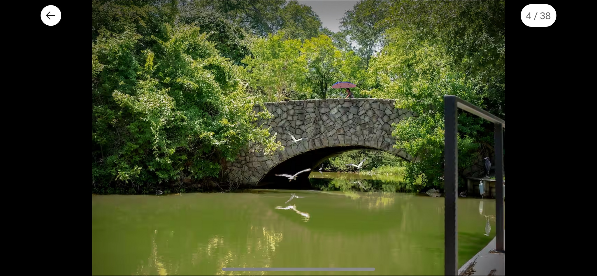 Canal off back - 106 La Vie Dr