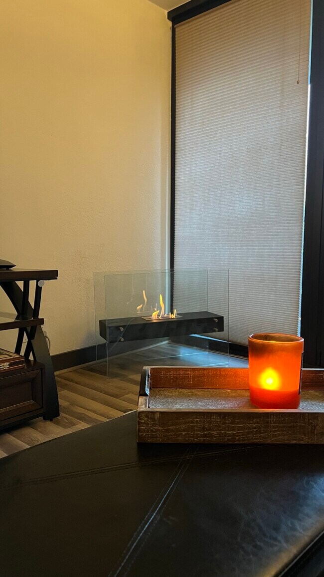 Ethyl alcohol fireplace - 111 SW Harrison St