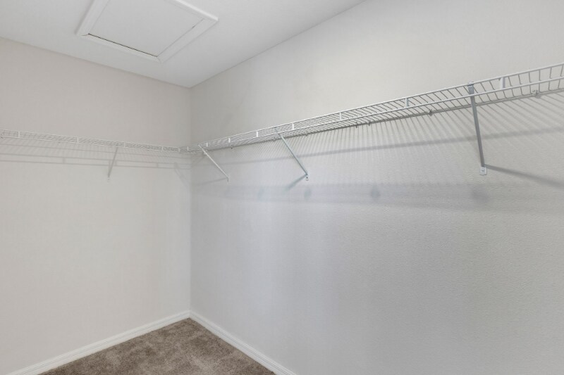 Building Photo - 1117 Pavia Dr