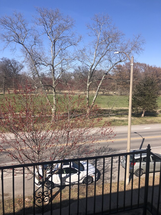 View Of Tower Grove Park from the front balcony - 4034 Arsenal St