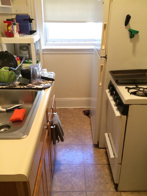 Building Photo - 1 bedroom in Boston MA 02215