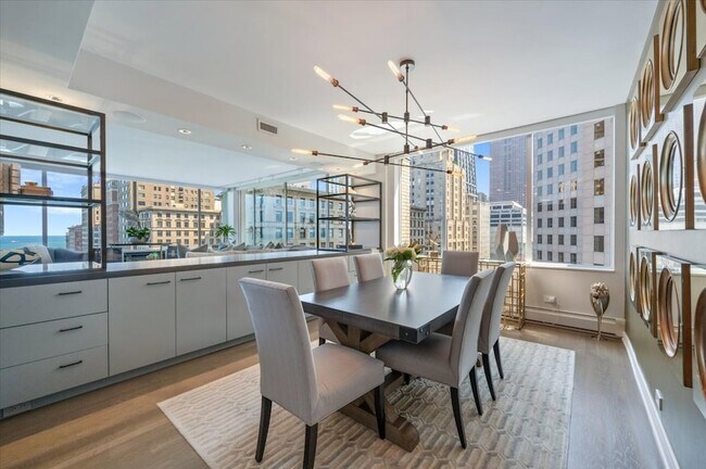 Building Photo - 1000 N Lake Shore Dr