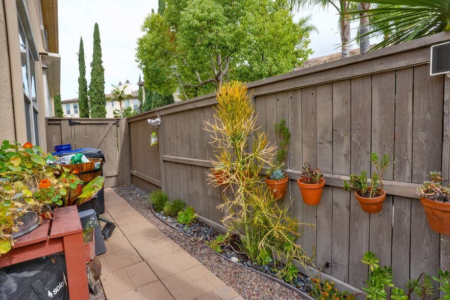 back yard! - 2649 Bellezza Dr
