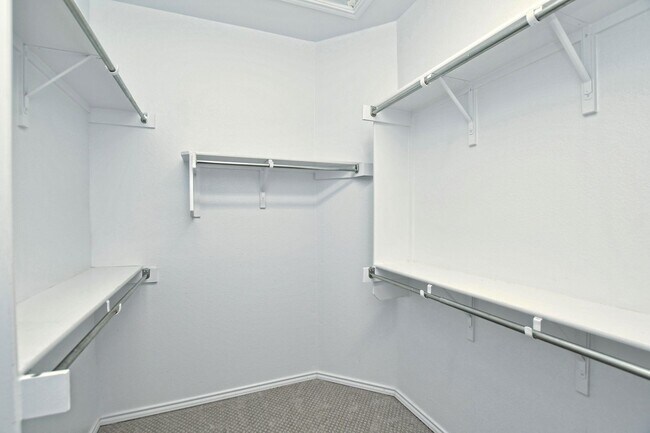 Building Photo - 313 Essex Ln