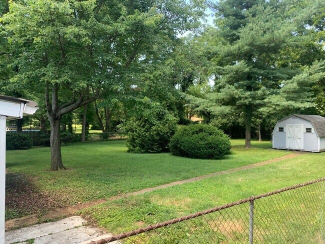 Back yard and shed - 3943 Wright Ave