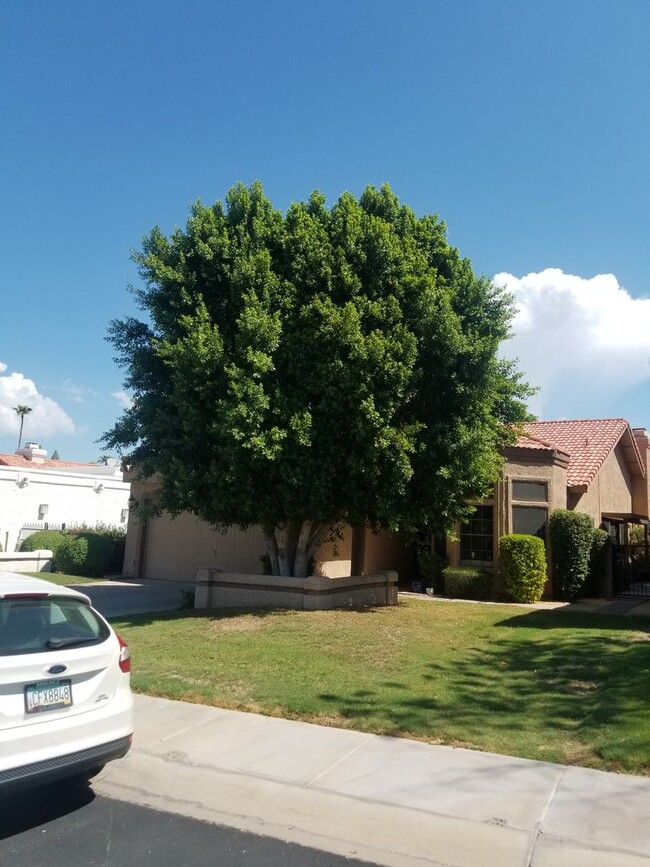 Primary Photo - Charming South Chandler home with loft