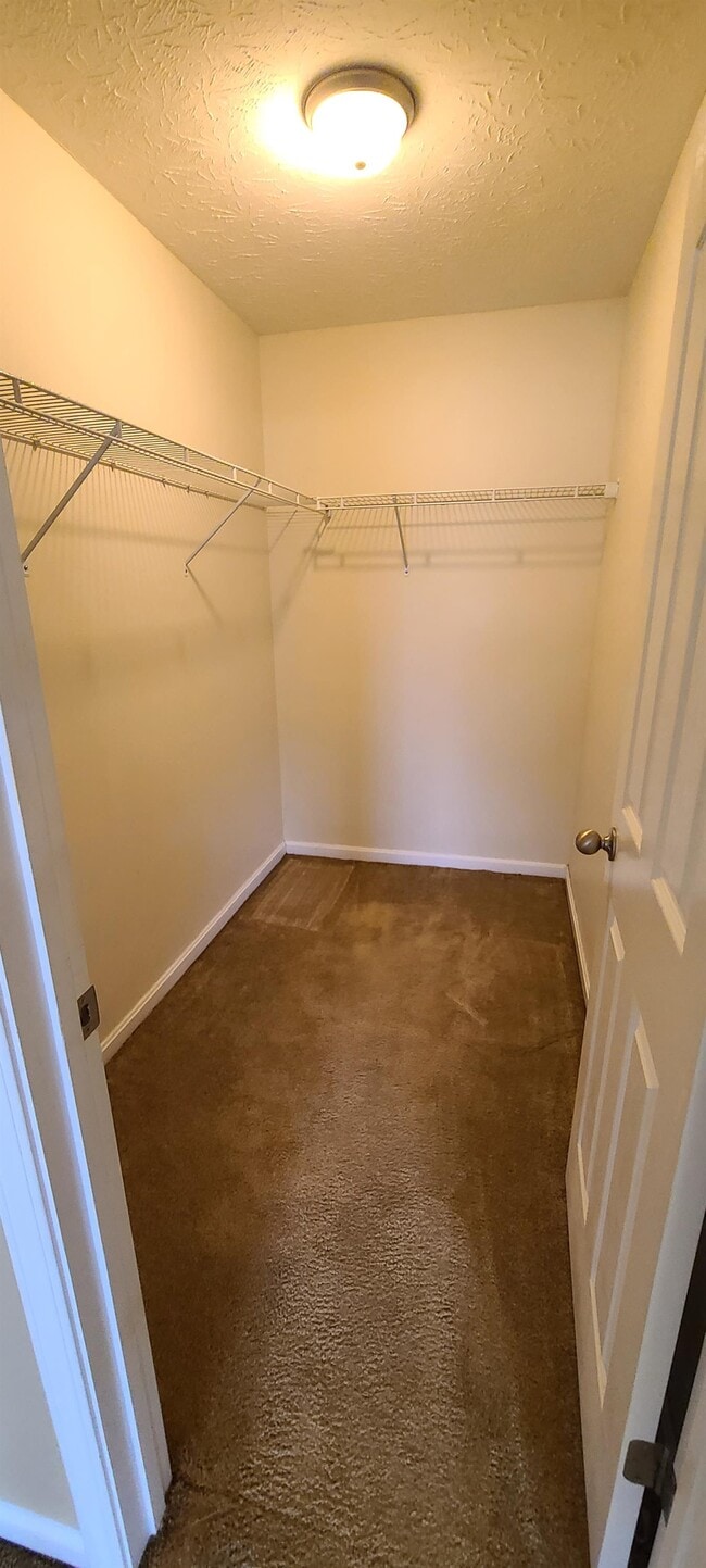 Building Photo - 2504 Emma Katherine Ln