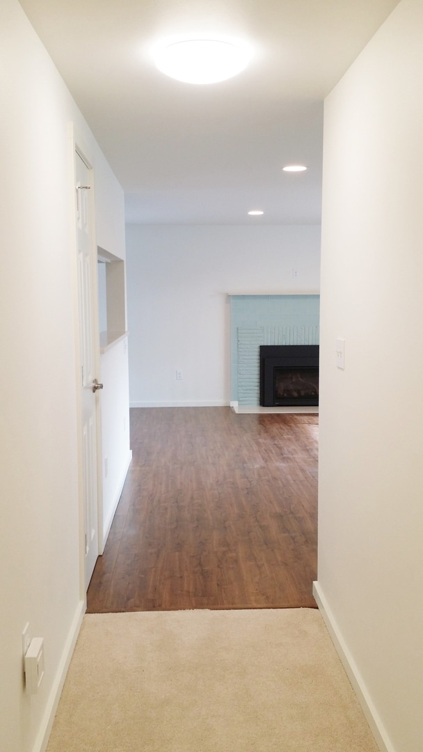 Building Photo - 3BD/1.5BA Shoreline Cottage