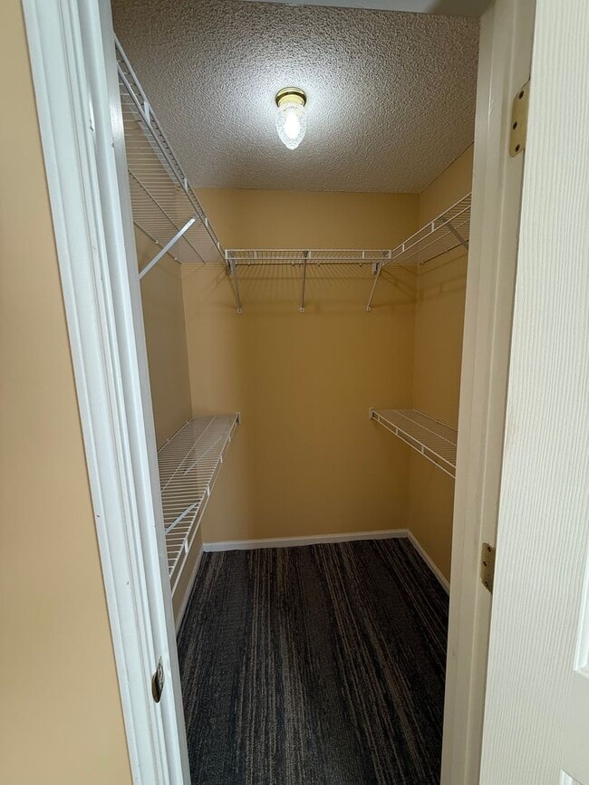 Building Photo - Quarter Condo