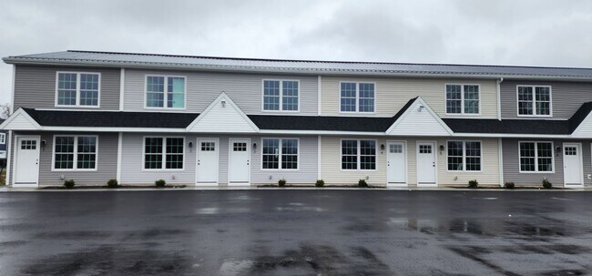 Brand new 2 bedroom 2 1/2 bath luxury apartments - 363 Delaware St