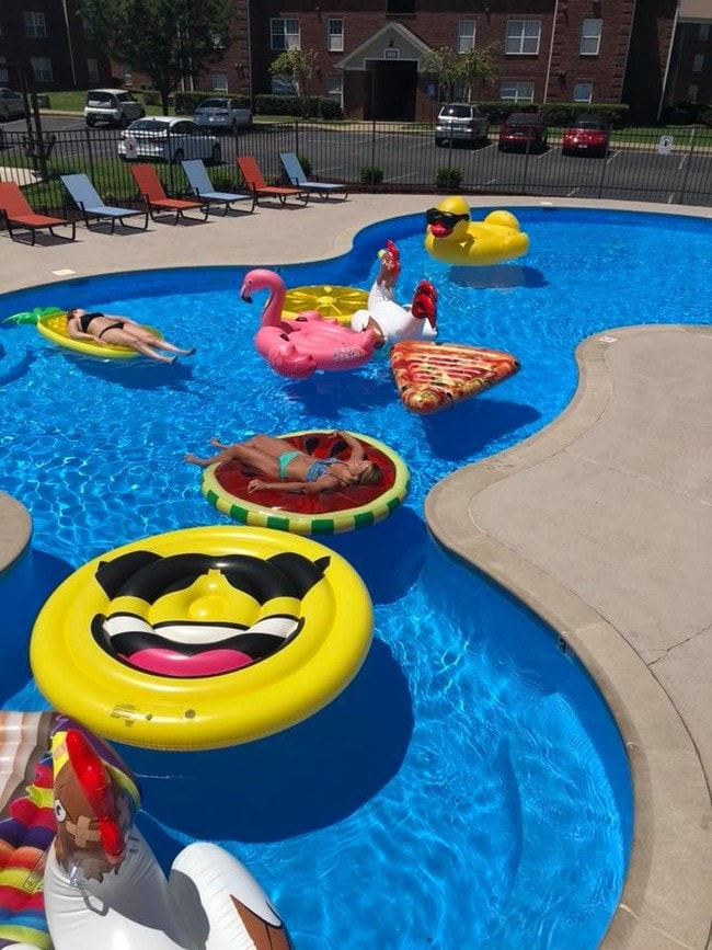 Our Amenities are UNMATCHED! - The Ariel