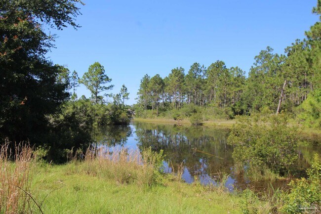 Building Photo - 10609 Creek Ridge Dr