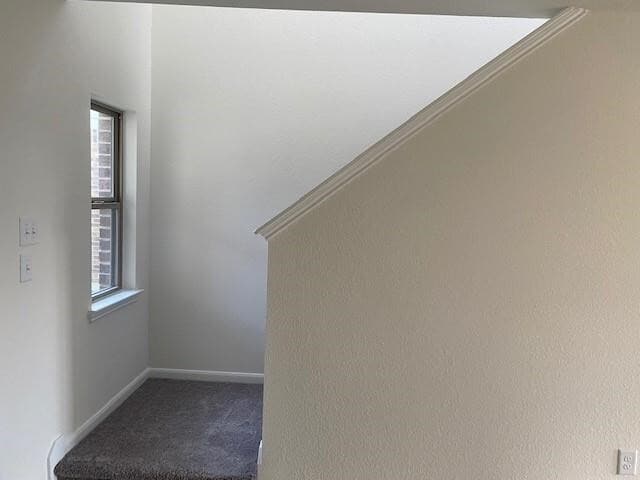 Building Photo - 727 Hardwood Grv Ct