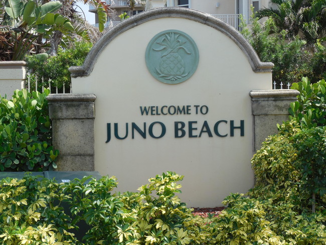 Building Photo - 800 Juno Ocean Walk