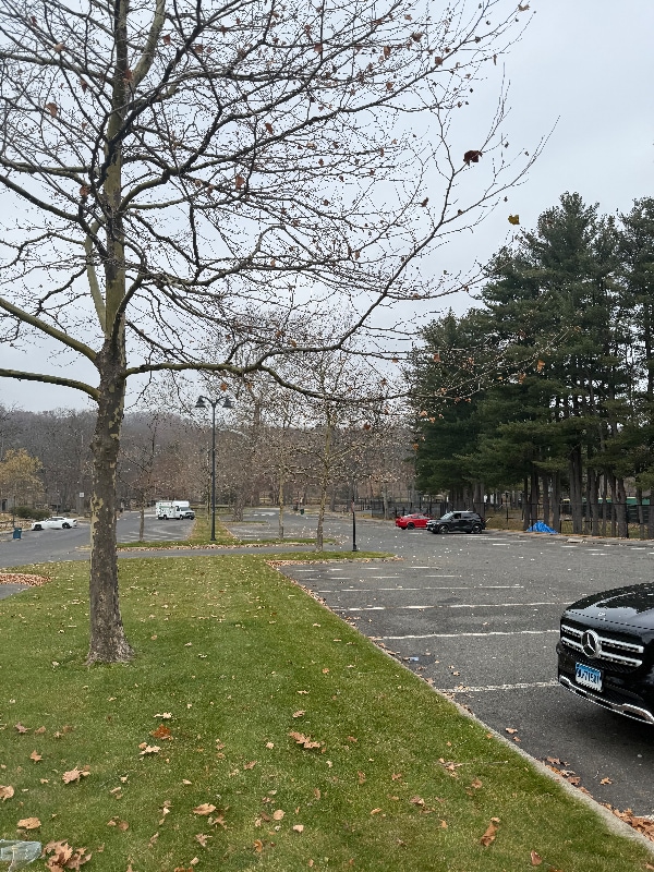 Building Photo - 322 Park St