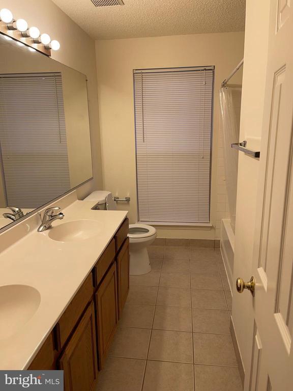 Building Photo - 2807 White Birch Ct