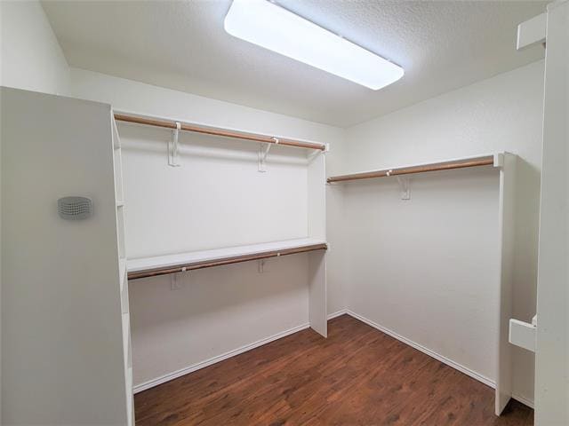 Building Photo - 14145 Gold Seeker Way