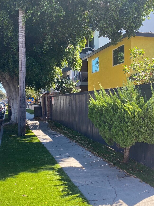 clean walkway - 11120 Hartsook St