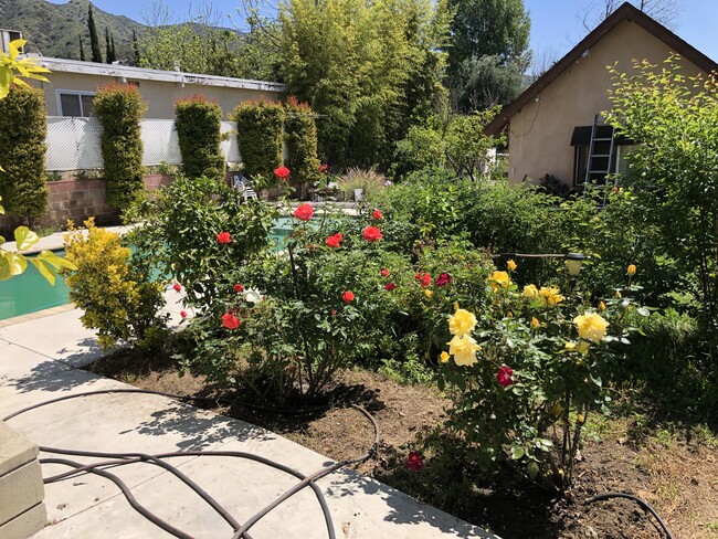 Building Photo - 1054 E Providencia Ave