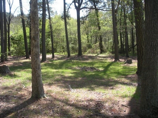 Building Photo - 25776 Parksley Rd