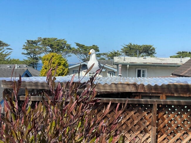 Building Photo - 2bd Monterey Cottage with Ocean Views