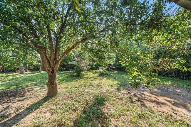 Building Photo - 1224 N San Jacinto St