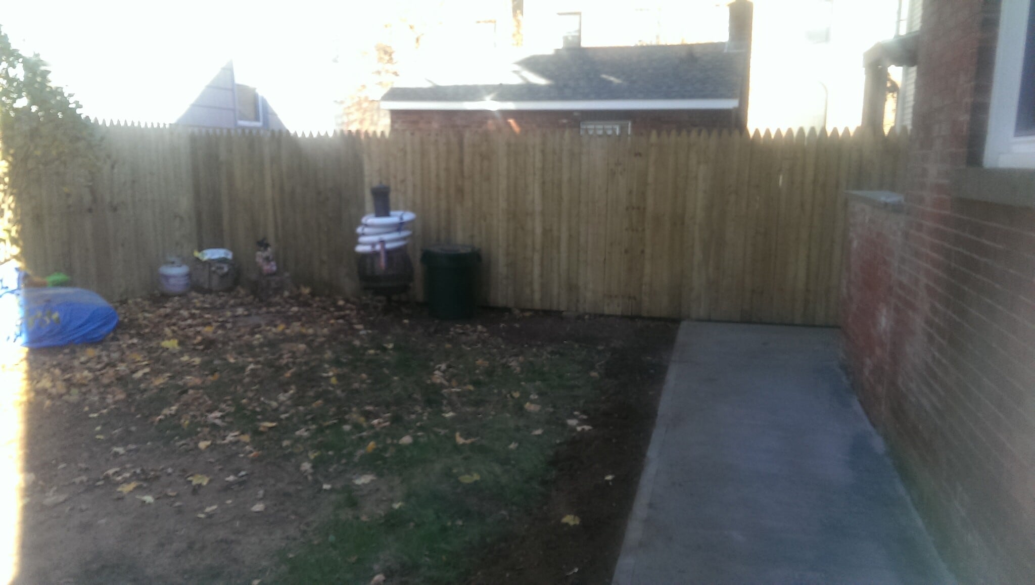BACKYARD - 177 Davenport Ave