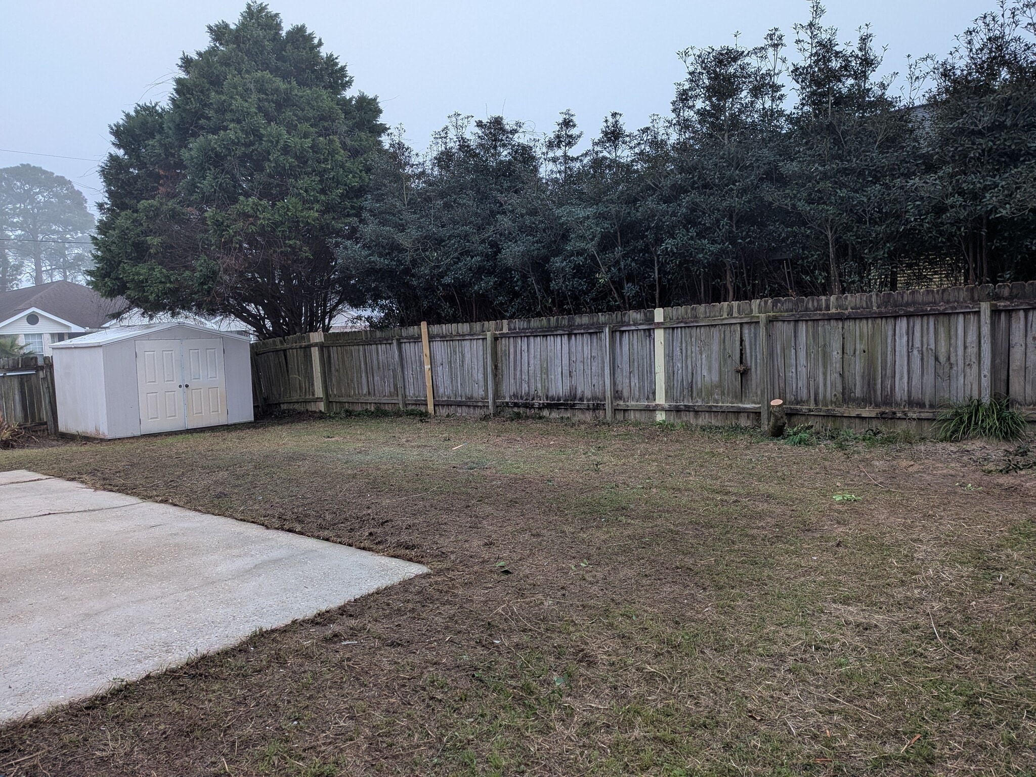 Backyard - 574 Rough Leaf Ln
