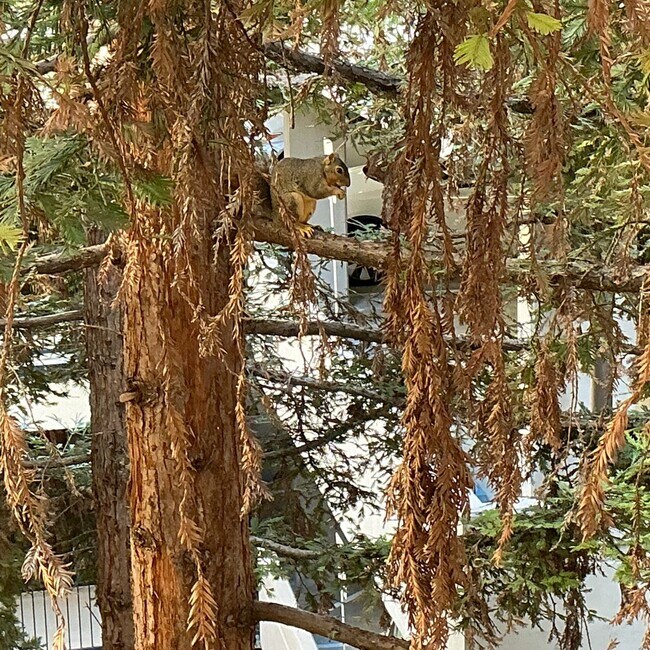 Building Photo - For Lease ~ 1 Bedroom 1 Bath 4th Floor Watermarke Condo in Irvine