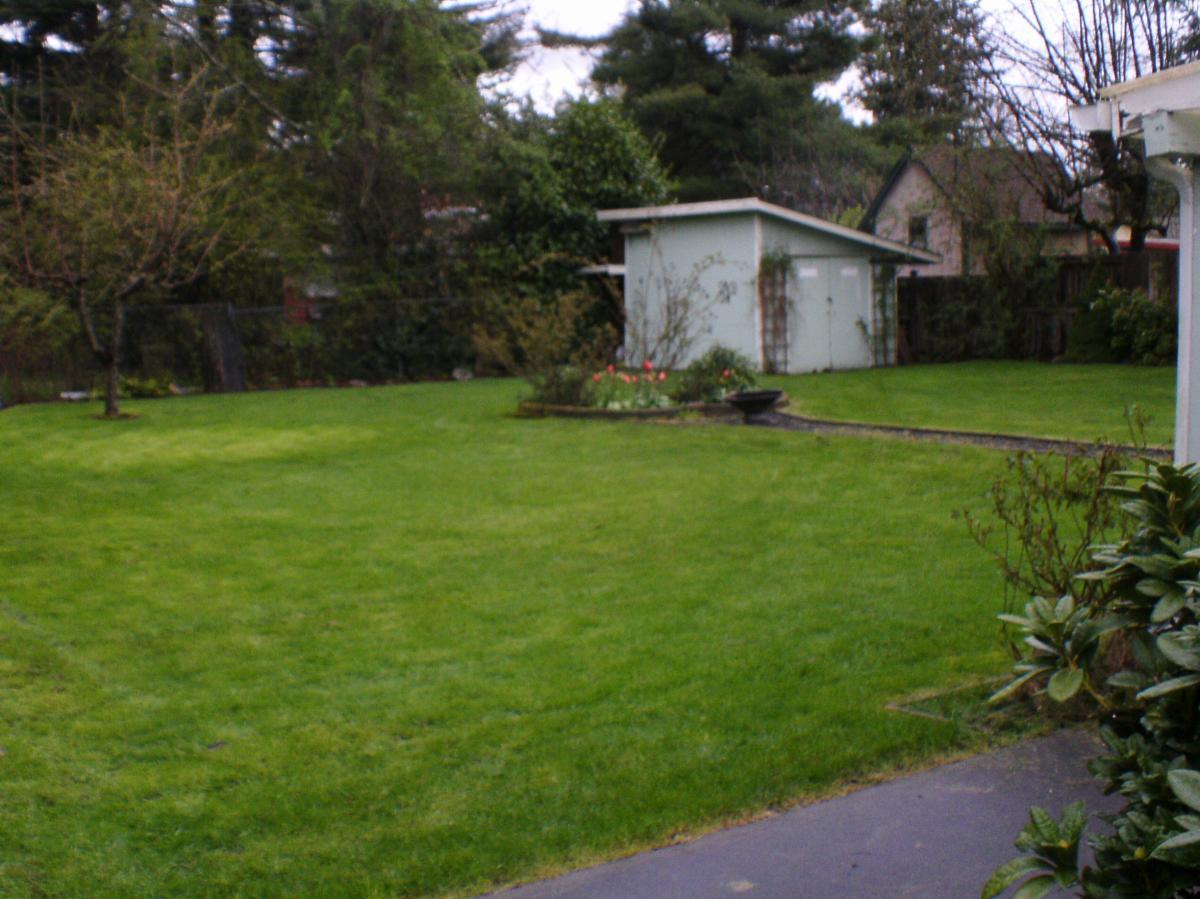 Yard and garden shed - 4506 24th Ave SE